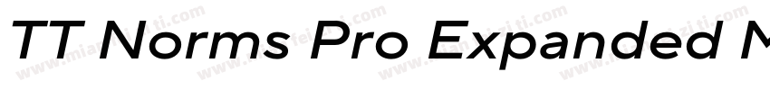 TT Norms Pro Expanded Medium字体转换